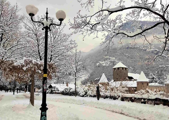 Verdi 43 * Больцано